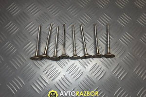 Клапан впускний ГБЦ на 2.0TDi Opel Vectra B, Zafira A, Astra G, H, Omega B, C 1994 - 2009