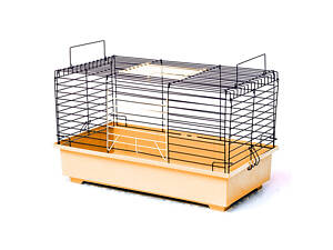 Клетка для грызунов Кролик (570х300х335) краска беж