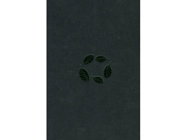 Книга Букова земля - Марія Матіос А-ба-ба-га-ла-ма-га (9786175851791) - Фото 7