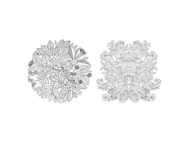 Книга Чарівний сад - Джоанна Басфорд Видавництво Старого Лева (9786176790808) - Фото 6