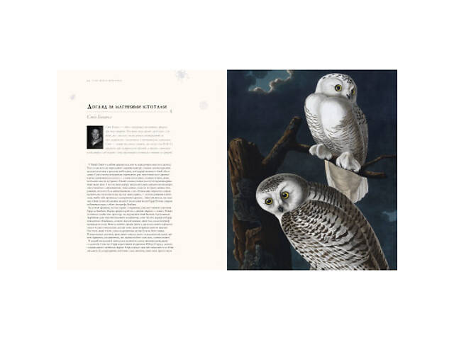 Книга Гаррі Поттер. Історія магії. Велике ілюстроване видання - Джоан Ролінґ А-ба-ба-га-ла-ма-га (9786175851685) - Фото 2