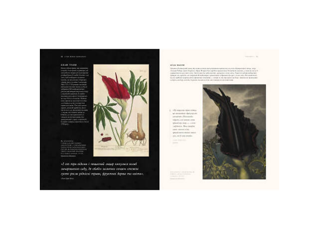 Книга Гаррі Поттер. Історія магії. Велике ілюстроване видання - Джоан Ролінґ А-ба-ба-га-ла-ма-га (9786175851685) - Фото 4