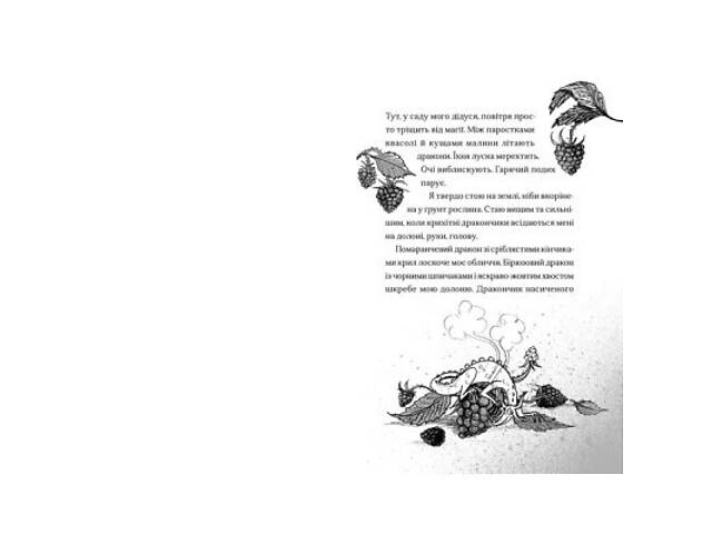 Книга Хлопчик, який співав з драконами. Книга 5 - Енді Шепард Видавництво Старого Лева (9789664482797) - Фото 3