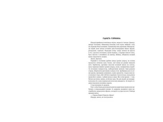 Книга Оповістки з Меекханського прикордоння. Книга 1. Північ-Південь - Роберт М. Веґнер Видавництво РМ (9786178512439) - Фото 2