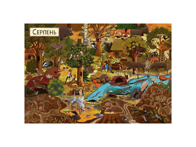 Книга Рік у лісі - Емілія Дзюбак Видавництво Старого Лева (9786176792789) - Фото 4