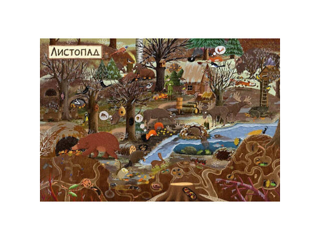 Книга Рік у лісі - Емілія Дзюбак Видавництво Старого Лева (9786176792789) - Фото 5