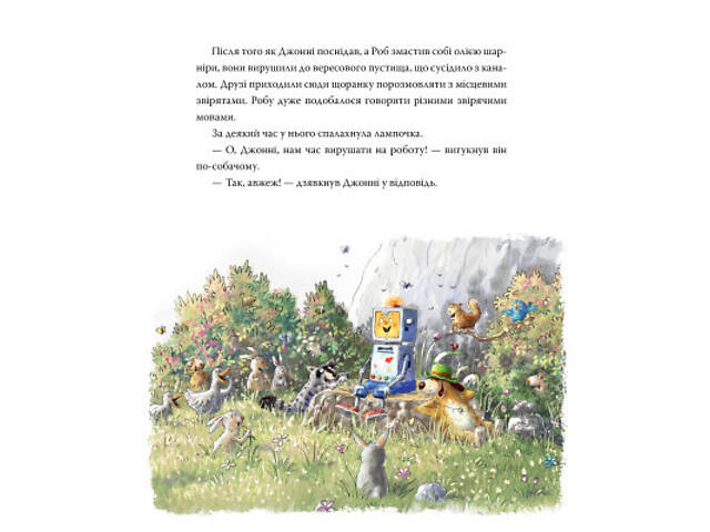 Книга Роб і Джонні. Двоє друзів знаходять у собі відвагу. Книга 2 - Валько Видавництво РМ (9786178426613) - Фото 5