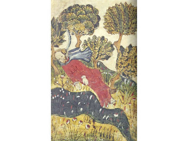 Книга Сер Ґавейн і Зелений Лицар, а також Перлина і Сер Орфео - Джон Р. Р. Толкін Астролябія (9786176642381) - Фото 5