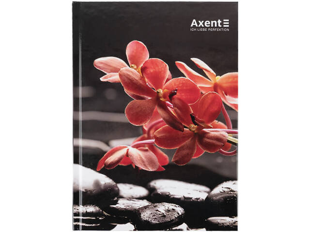 Книга записна Axent R&B Flower А5, 96 аркушів, клітинка, тверда обкладинка (8457-7-A) - Фото 1