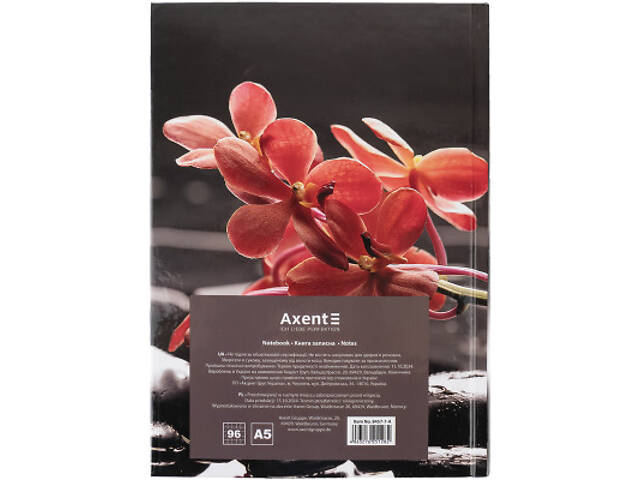 Книга записна Axent R&B Flower А5, 96 аркушів, клітинка, тверда обкладинка (8457-7-A) - Фото 5