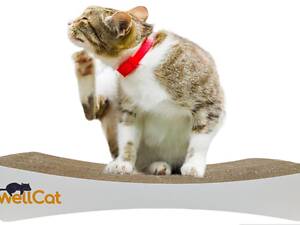 Кігтеточка - лежанка дряпка для кішок та котів WellCat Graceful 53х8х24 см