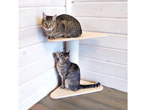 Когтеточка 'Сорава' бланже