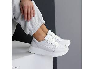 Шкіряні кросівки Enigma з перфорацією 36-41р код 17495 37, 24