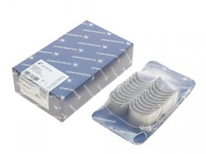 KOLBENSCHMIDT 77685600 Вкладыши распределительного вала VW Golf V/Passat 2.0TDI 03- (STD) (комплект)