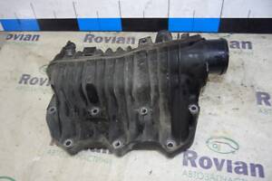 Коллектор впускной (1,0 DOHC 12V) Ford FOCUS 3 2011-2018 (Форд Фокус), СУ-259773