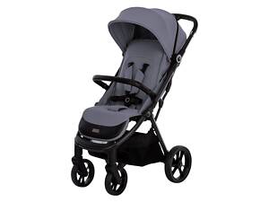 Коляска для дитини прогулянкова FreeON Dynamic, grey