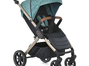 Коляска прогулочная El Camino Dynamic Pro ME-1053G-2-Special-Black черная