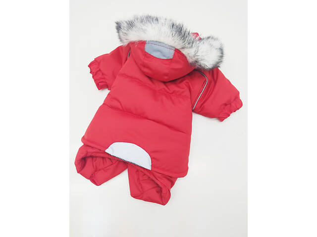 Комбінезон для собак Актив 38х66 мопс2, Червоний - Фото 4