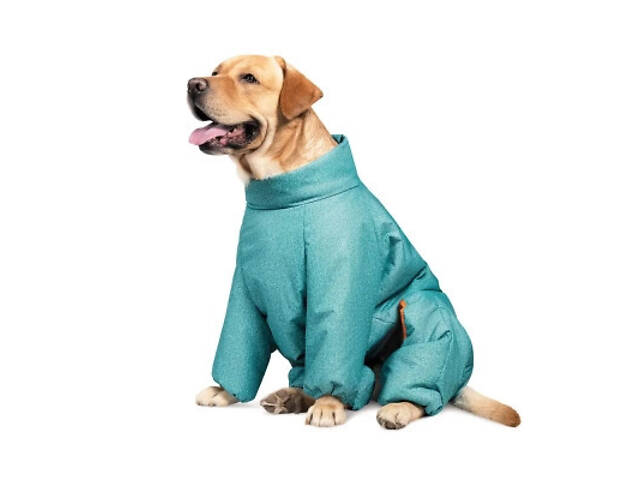 Комбінезон для тварин Pet Fashion Cold 7XL (бірюзовий) (4823082426058) - Фото 1