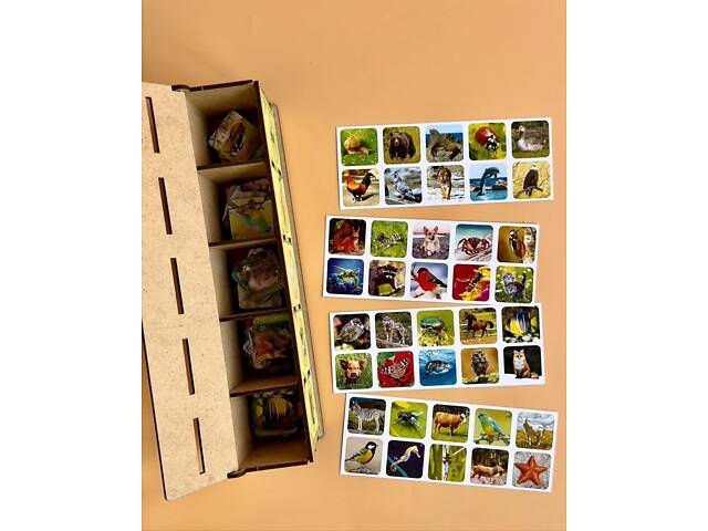 Комодик-сортер "Види тварин" - Фото 2