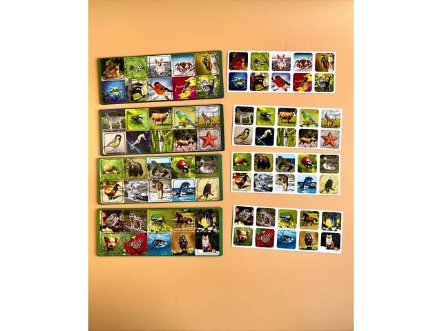 Комодик-сортер "Види тварин" - Фото 3