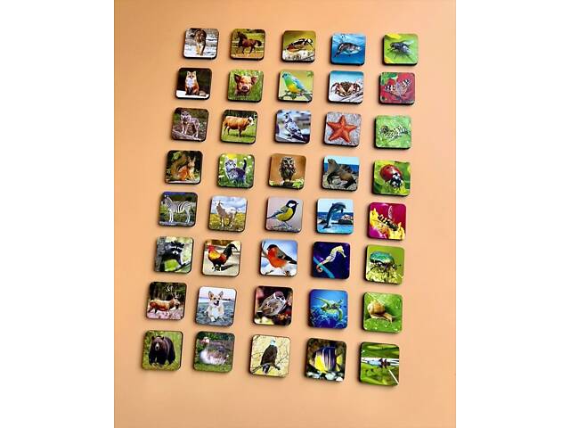 Комодик-сортер "Види тварин" - Фото 4