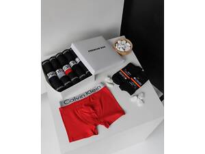 Комплект 5 штук трусив + 12 пар термошкарпеток у Premium Box XL 3XL