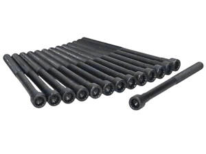 Комплект болтов ГБЦ Daewoo Korando 1998-2024 ELRING 759.640