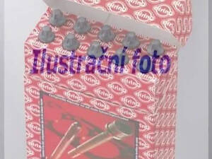 Комплект болтів головки циліндра ELRING 022670 Toyota Yaris; Daihatsu Sirion, Terios 9091002100