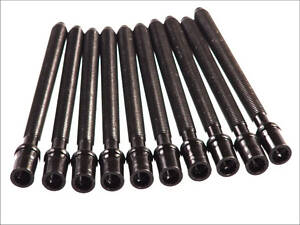 Комплект болтів головки циліндра ELRING 305.430 Volkswagen Golf, Passat, Touran; Dodge Avenger, Journey; Audi A3, A4, A6