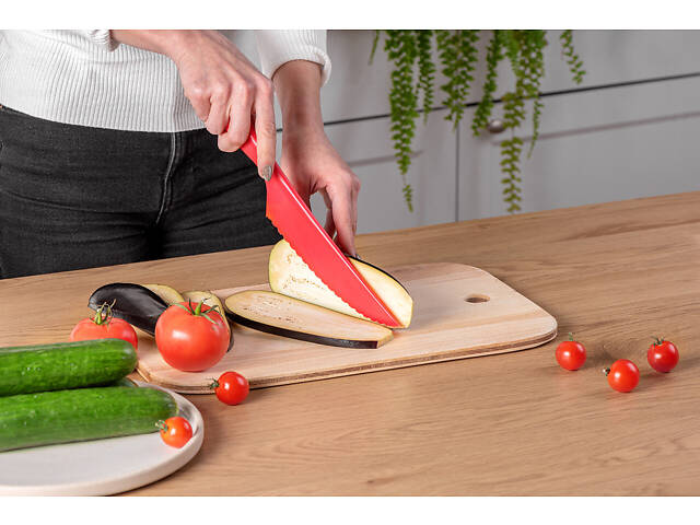 Комплект килимок силіконовий для розкачування тіста, випічки та заморожування напівфабрикатів 81х61 см і ніж пластиковий Червоний - Фото 9