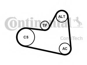 Комплект полікліновий (ремень+ролики) CONTITECH 6PK976K1 на CITROËN C4 II (B7)