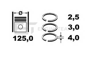 Комплект поршневых колец для моделей: IVECO (Stralis)