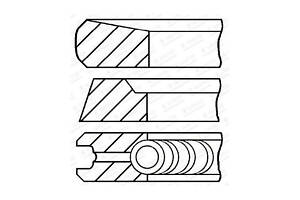 Комплект поршневых колец 0844030000
