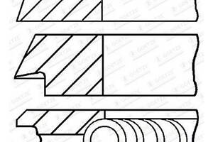 Комплект поршневых колец на 1 цилиндр 0810940010