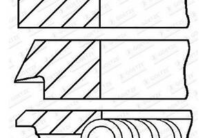Комплект поршневых колец на 1 цилиндр 0818300000