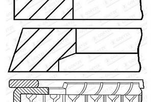 Комплект поршневых колец на 1 цилиндр 0843370000