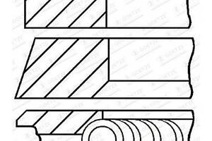 Комплект поршневых колец на 1 цилиндр 1,00мм 0810951100