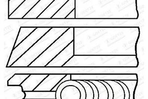 Комплект поршневых колец на 1 цилиндр 1,00мм 0811491100