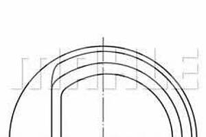 Комплект поршня с кольцами 0102901