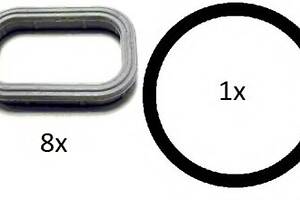 Комплект прокладок колектора впускного