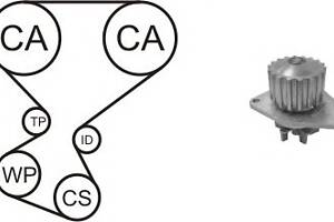 Комплект ременя ГРМ + водяний насос для моделей: CITROËN (C3, C4, C4), PEUGEOT (206,307,307,206,307,1007,207)