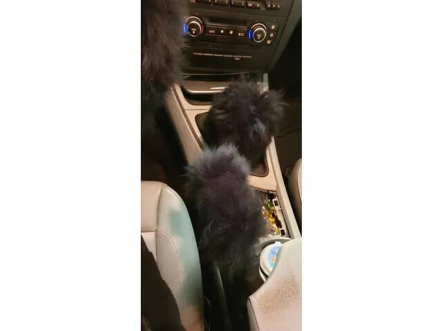 Комплект з 3 предметів: пухнастий чохол на кермо чорного кольору, чохол на коробку передач, чохол на ручник - Фото 2