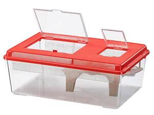 Контейнер для дрібних риб, черепах і комах Ferplast Geo Flat (Ферпласт Гео Флат) 1