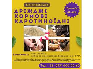 Кормовые дрожжи – белково-витаминная добавка от производителя по Украине и на экспорт.