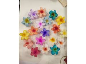 Крабіки гавайська квітка