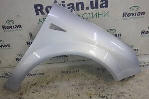 Крыло переднее правое (TED69) Renault SCENIC 2 2003-2006 (Рено Сценик 2), СУ-246223