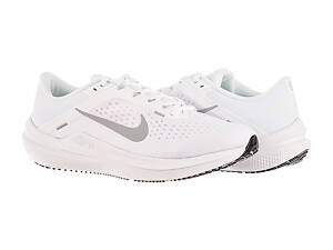 Кросівки бігові Nike AIR WINFLO 10 DV4022-102