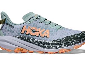 Кроссовки Hoka W Speedgoat 6 GTX 2024 40.5 Sky Blue (1092-198605154270)