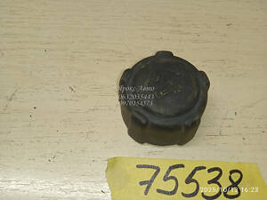 Крышка расширительного бачка Renault Trafic / Opel Vivaro / Nissan Primastar (01-14) 000075538